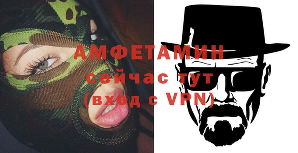 гашик Каменка