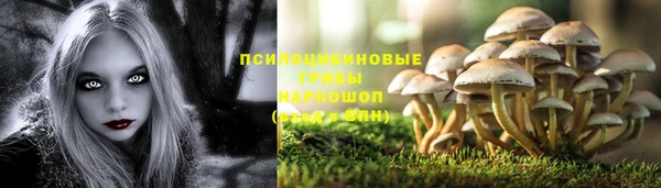 дурь Белоозёрский