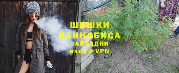 круглые Белокуриха