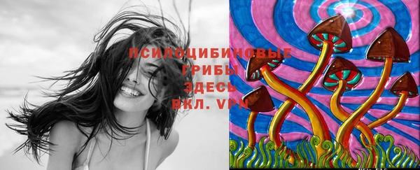 круглые Белокуриха