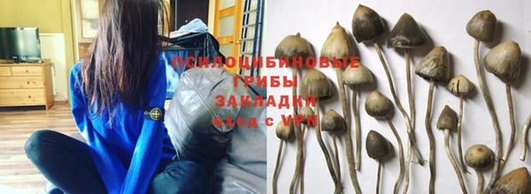 дурь Белоозёрский