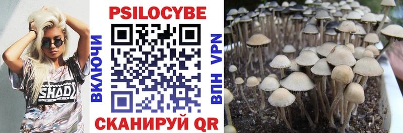 Псилоцибиновые грибы мухоморы  наркота  Волгореченск 